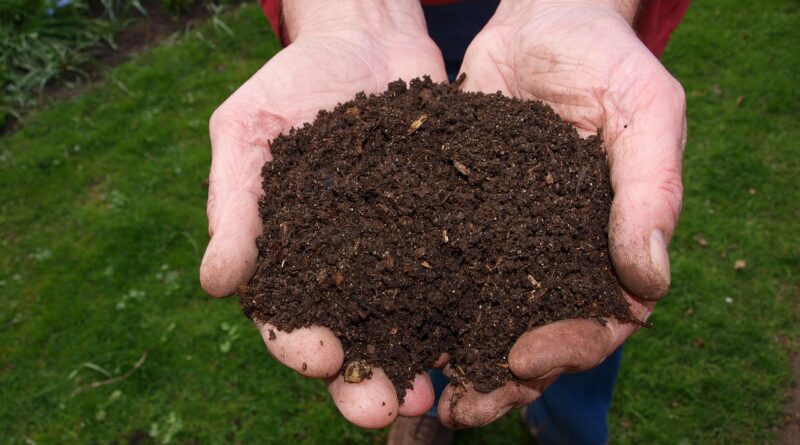 A komposztálás előnyei: mi az a komposzt és mire használható?